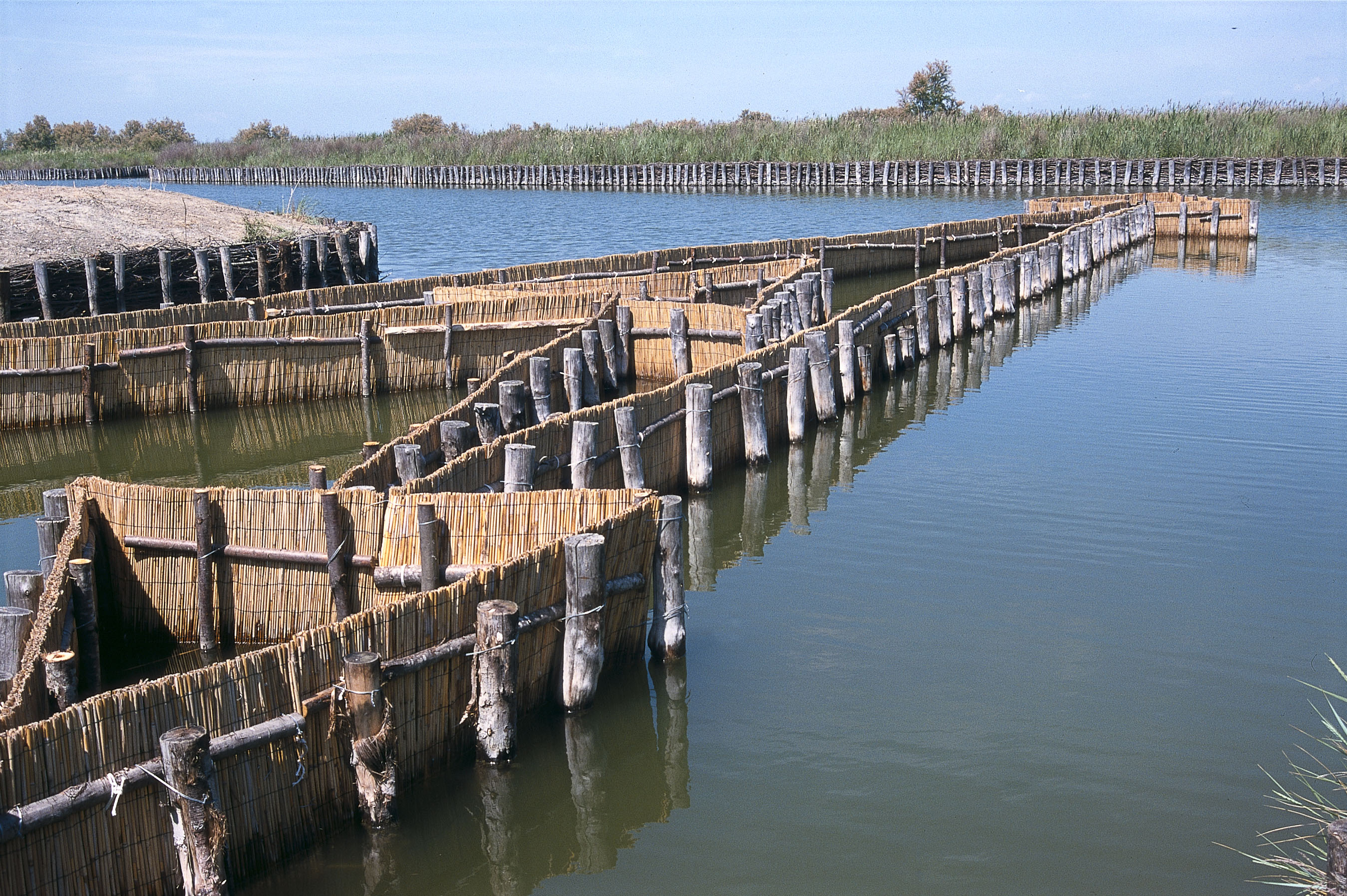 Scopri di più sull'articolo Chioggia, das Delta del PO und die Täler von Comacchio