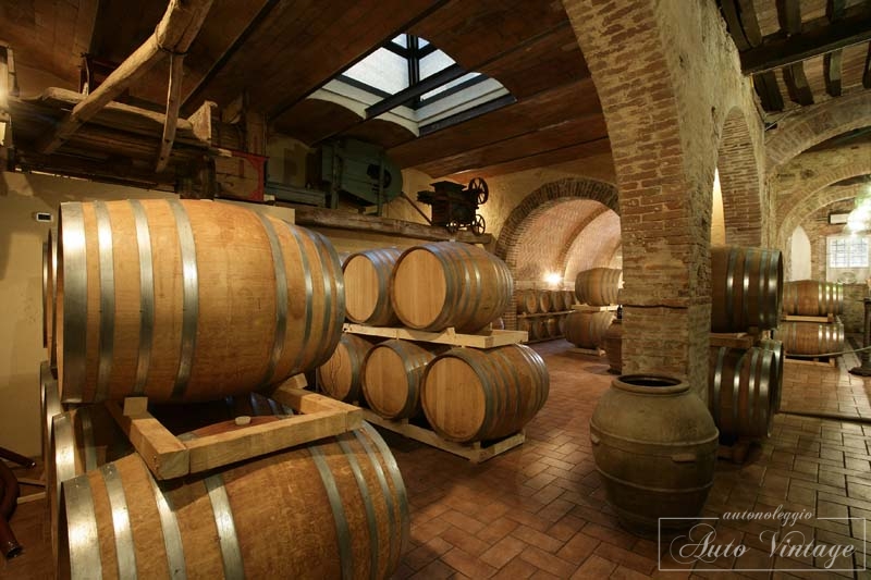 Scopri di più sull'articolo Wine Tour