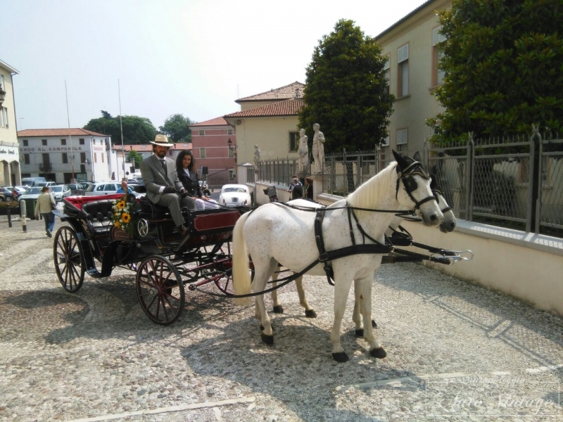 noleggio-carrozza-cavalli_carriage-horses-hire (3)