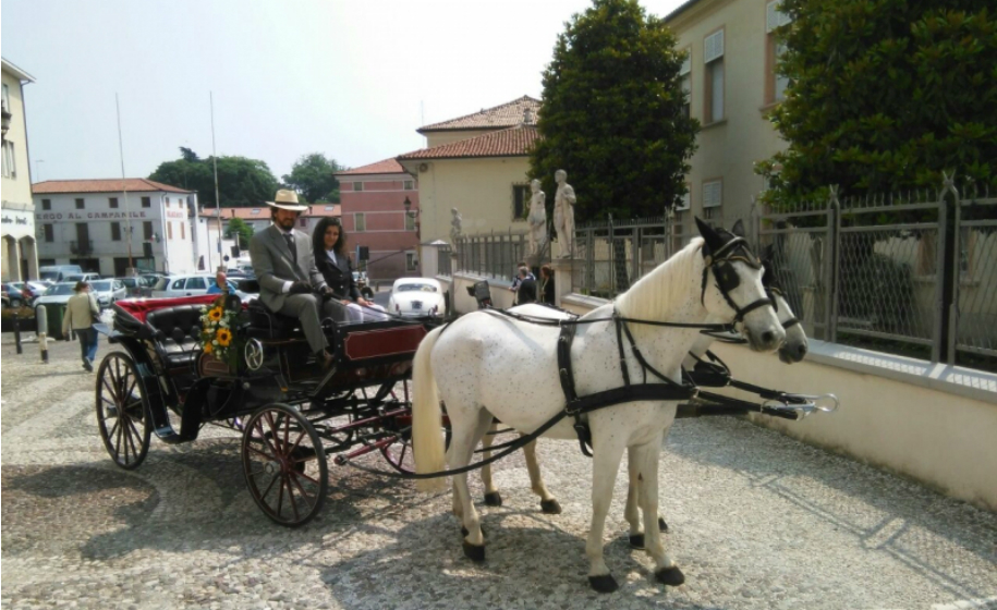 noleggio-carrozza-cavalli_carriage-horses-hire_anteprima