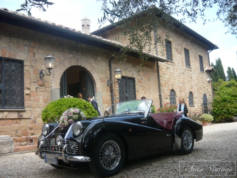 Scopri di più sull'articolo Villa Livia Roma