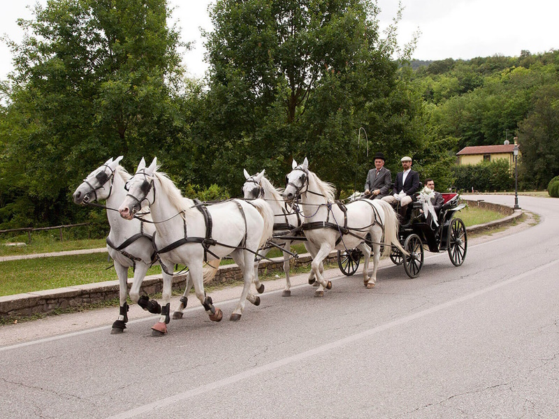 Carrozza 800x600